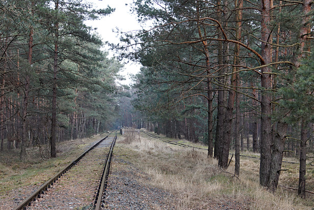 Militärfeldbahn Świnoujście Przytor (Regelspur): Regelspur südlich der Umladerampe