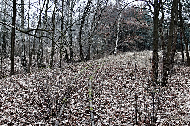 Militärfeldbahn Ognica: Strecke im Wald östlich der Straße